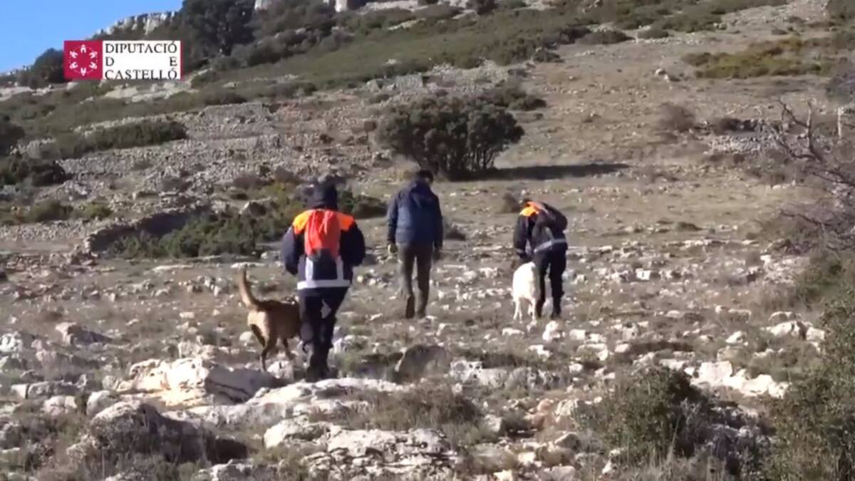 Continúa la búsqueda del cazador de 63 años desaparecido en Catí