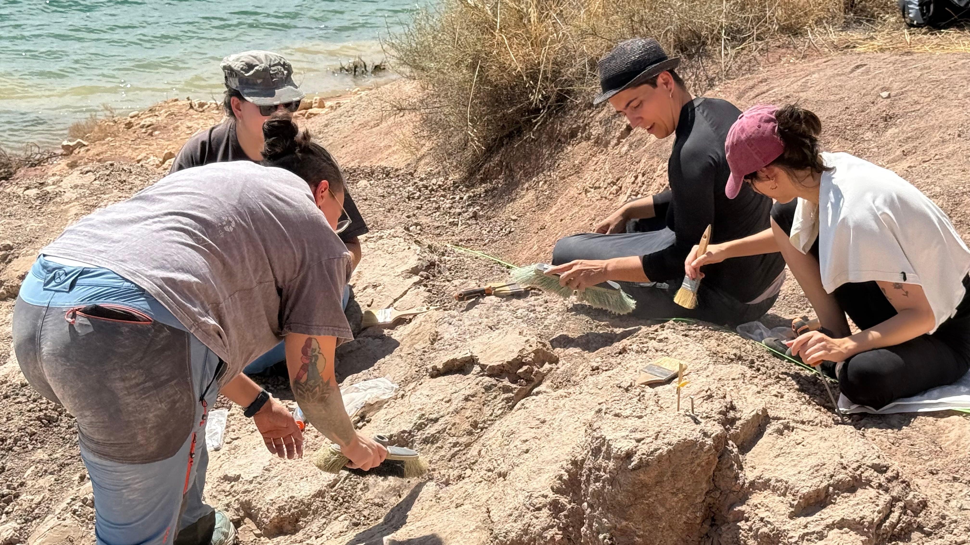 En el yacimiento participan especialistas en paleontología, geología, paleobotánica y conservación, además de estudiantes y voluntarios.