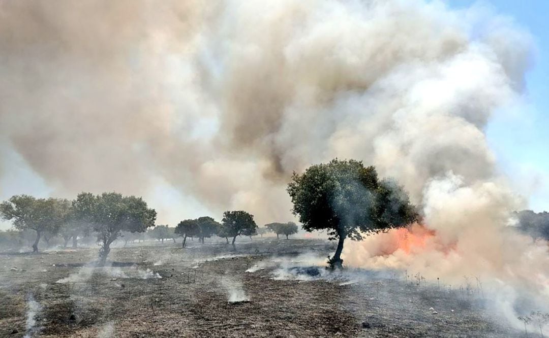 Incendio del 4 de julio en las cercanías de Puebla de Obando