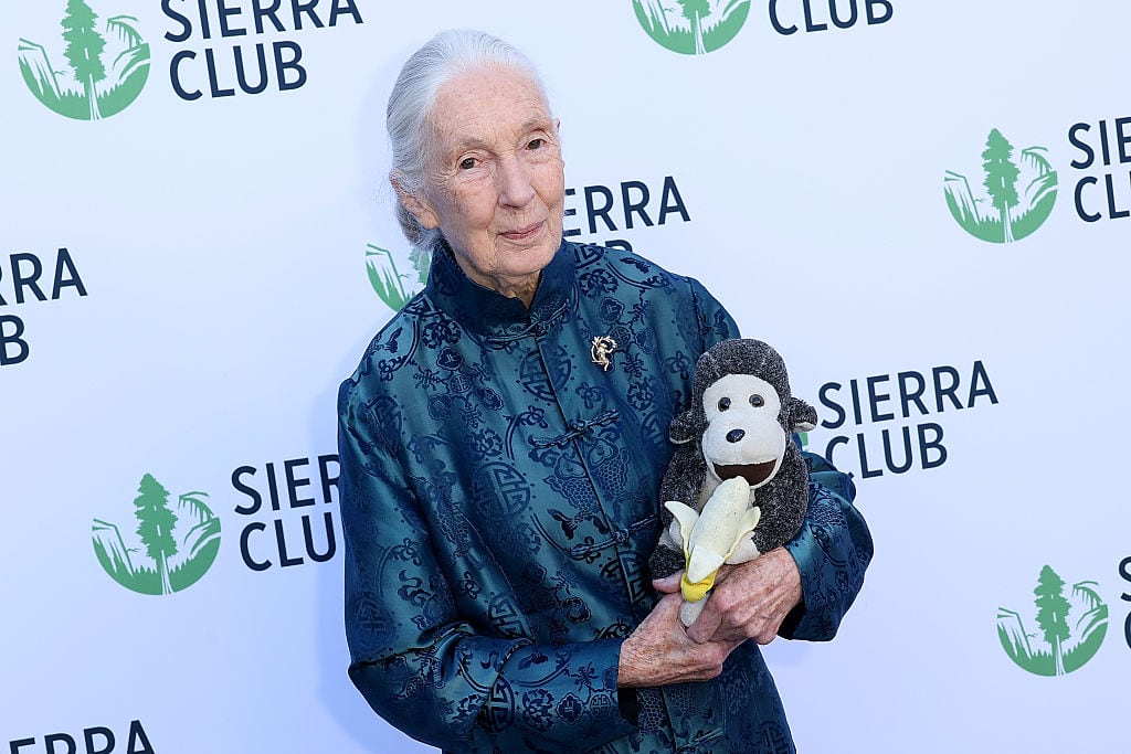 Muere a los 91 años Jane Goodall, la primatóloga y defensora de los chimpancés y el mundo animal