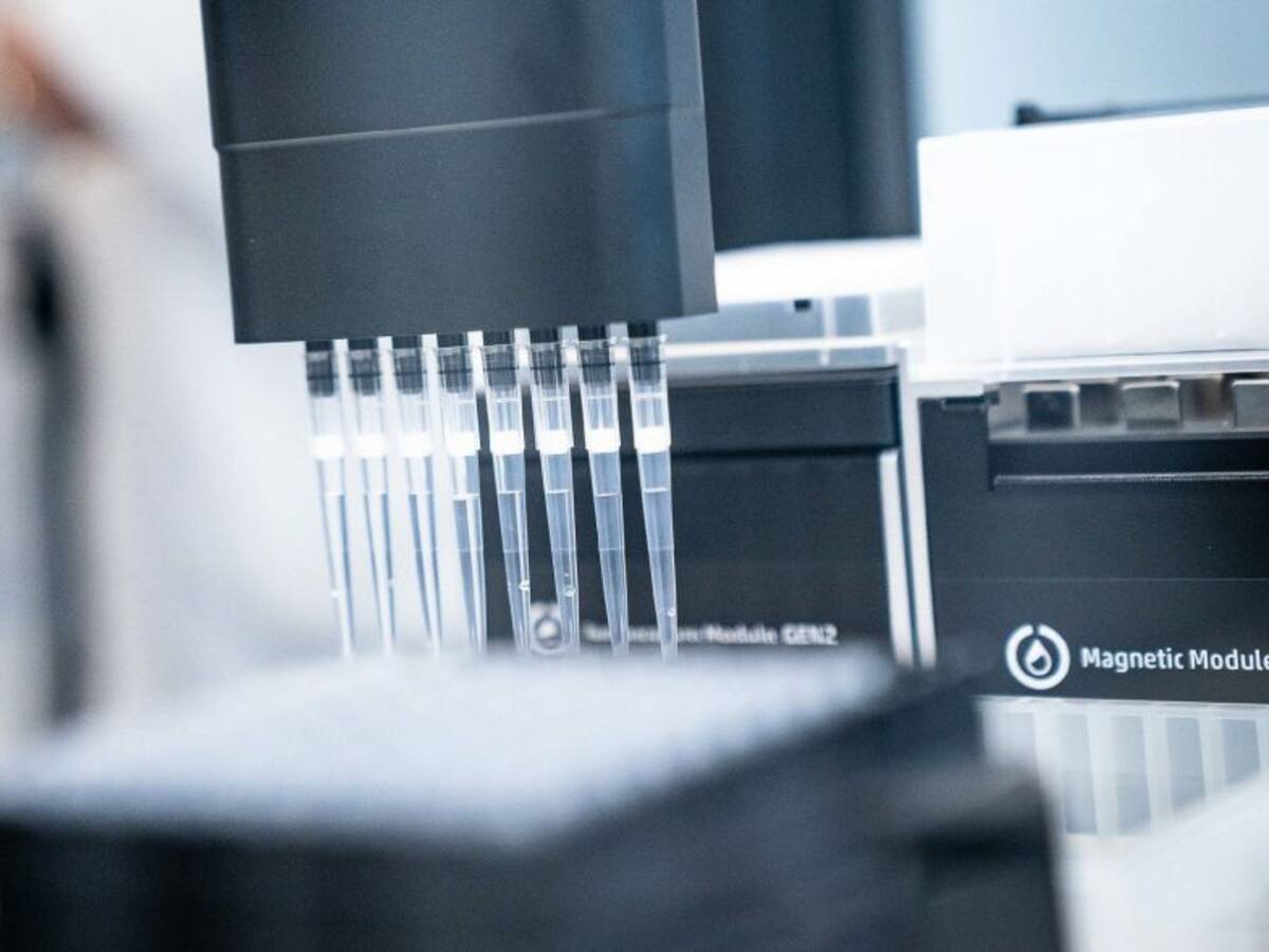 Extremadura registra 510 positivos y cinco fallecidos por covid-19