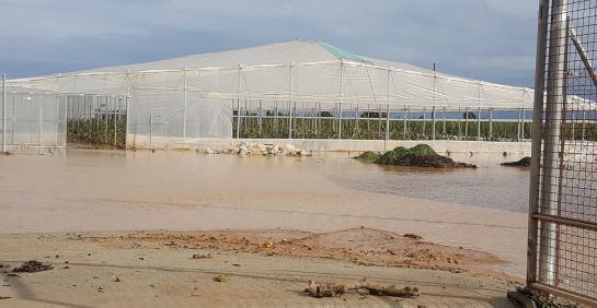 Imagen exterior de los destrozos causados por las lluvias en invernaderos de San Javier.