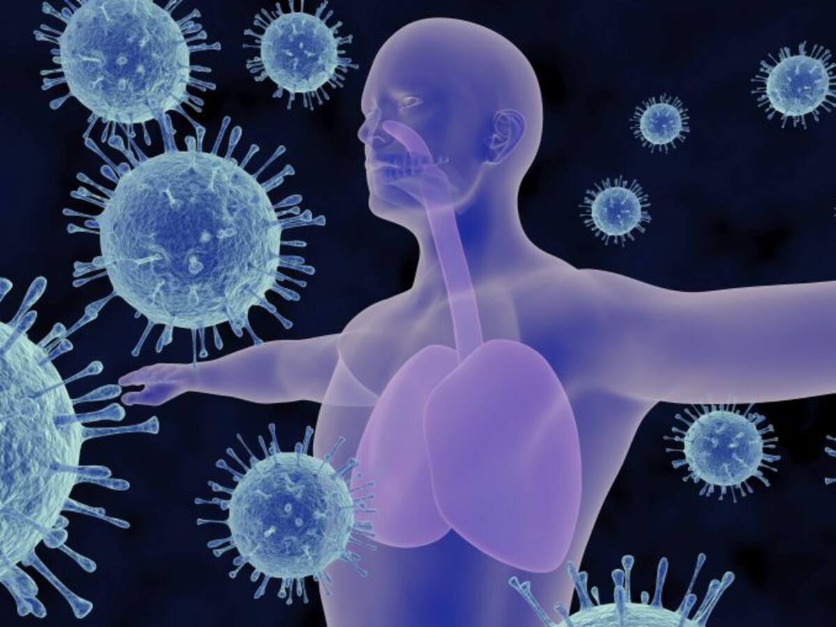 De la gripe todavía no hay noticias, pero parece que no viene "fuerte"