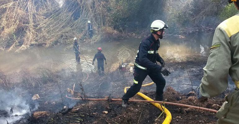 Imagen de varios bomberos trabajandon en el incendio