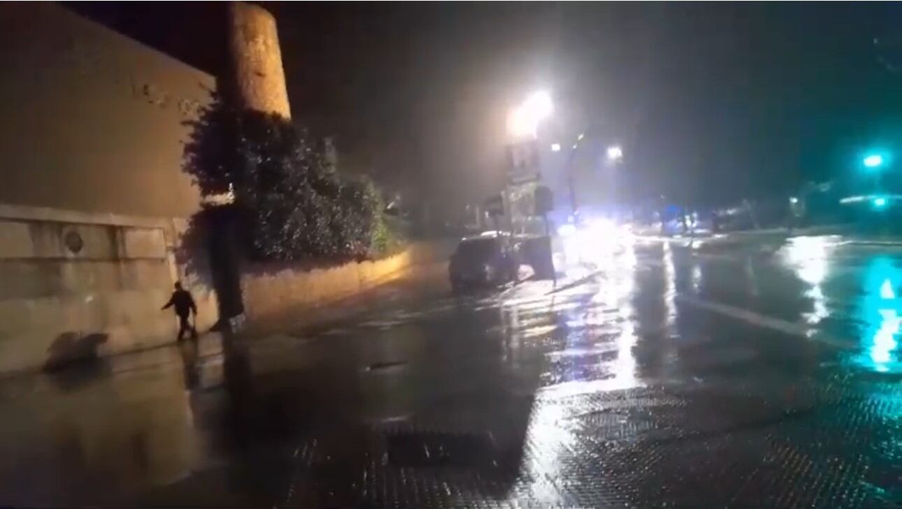 Bomberos de Jaén trabajan para retirar un árbol de la vía pública.