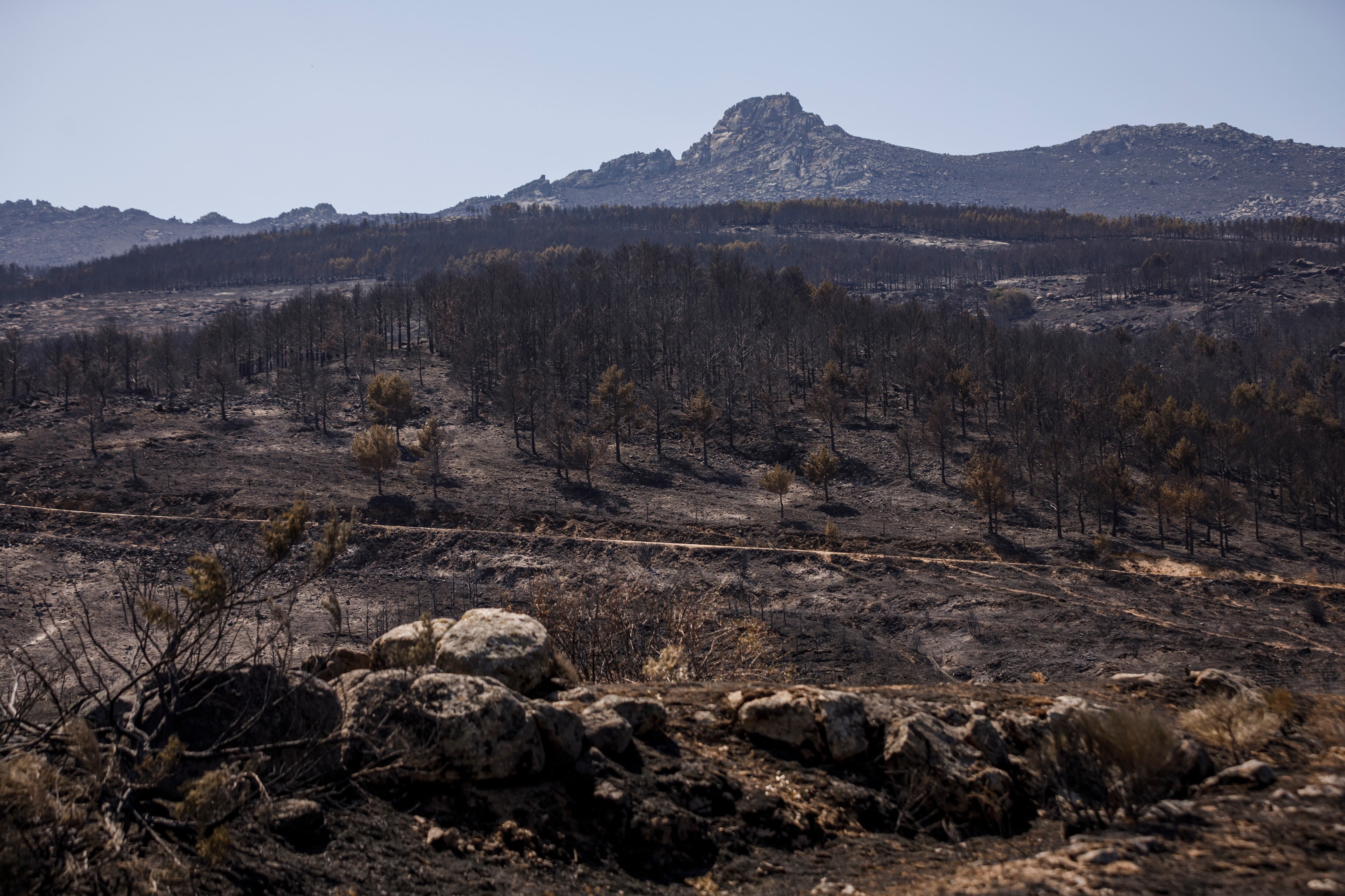 Una de las zonas afectadas por el incendio de 2021, en Navalacruz (Ávila)