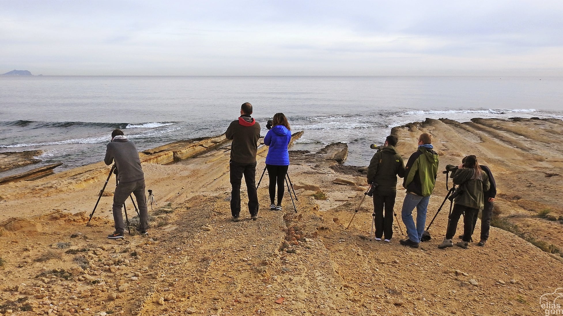 Censo en el Cabo Huertas