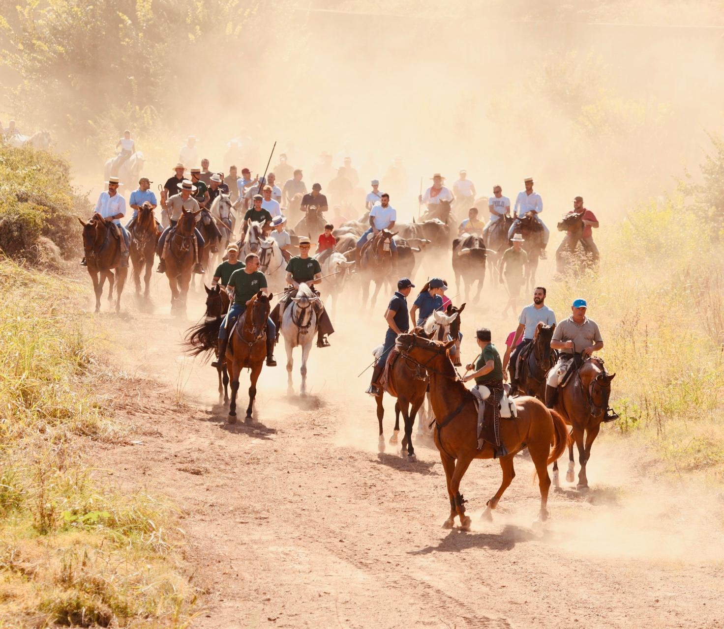 El recorrido ha partido desde el cauce del río, pasando por la calle Misericordia, la calle Barranquet, la plaza de El Pla y finalizando en la plaza Mayor