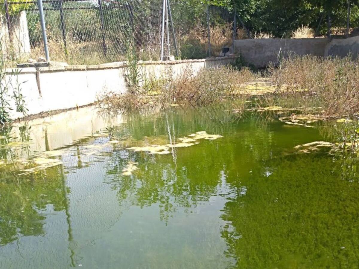 El Consejo para la Defensa del Noroeste denuncia una alta presencia de nitratos en el Acuífero del Bajo Quípar