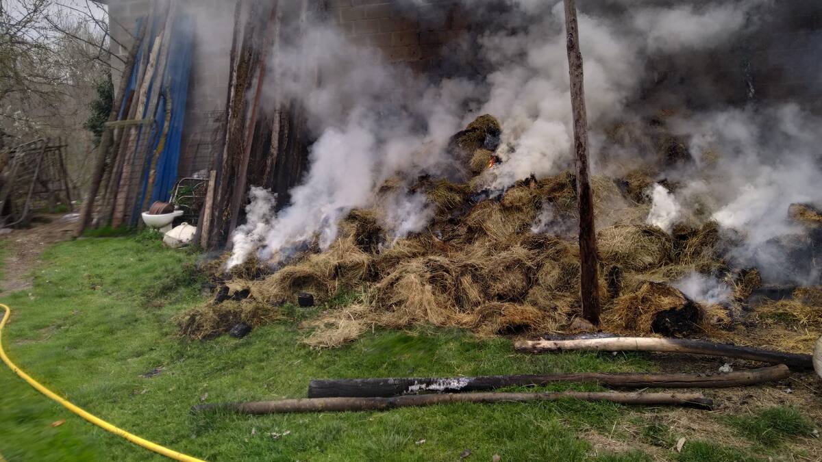 Fallecen 30 ovejas y corderos en el incendio de un tendejón en Albares