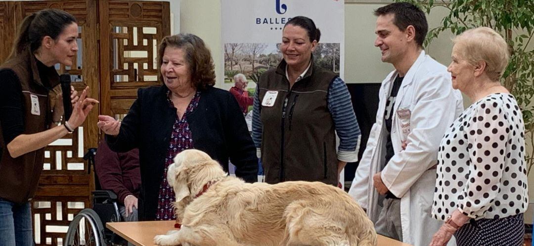 Los perros ayudan física y psíquicamente a los ancianos