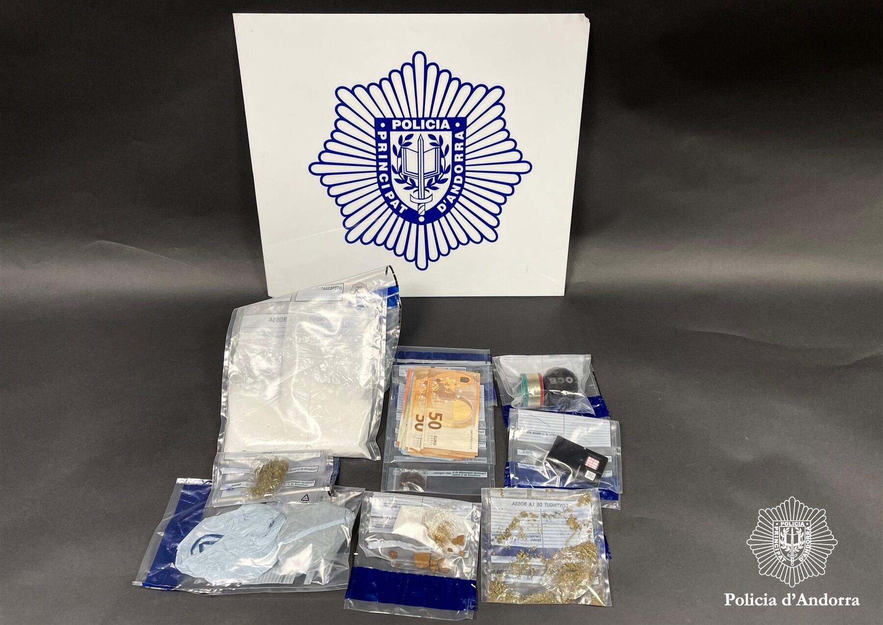 El material comissat al jove detingut en el marc d'un control d'alcoholèmia dimarts a la nit.