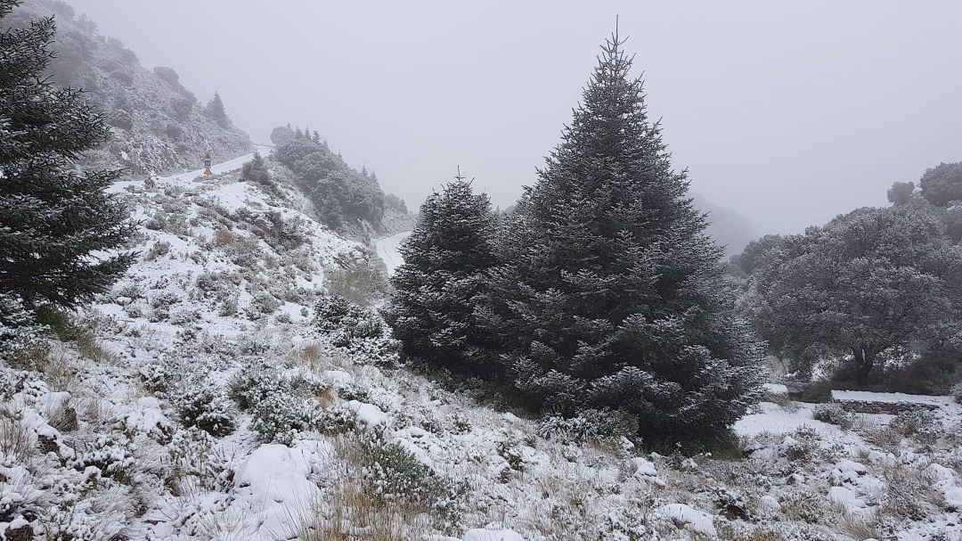 Acceso al Puerto de las Palomas desde Zahara