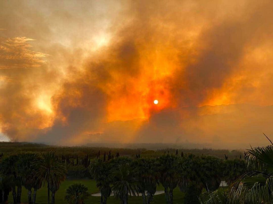 Incendio en la Vega de Salobreña