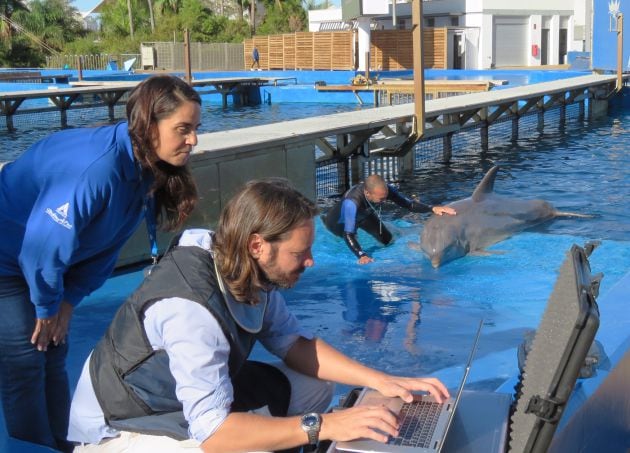 El Oceanogràfic de València, gestionado por Avanqua, del grupo Global Omnium, mantiene abiertas 22 líneas de investigación y tiene programados 57 proyectos relacionados con la conservación y el bienestar animal