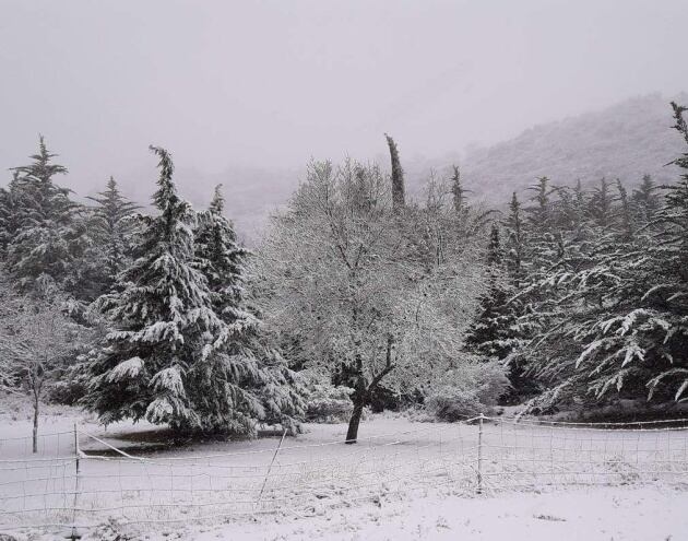 Nieve en la Subbética.