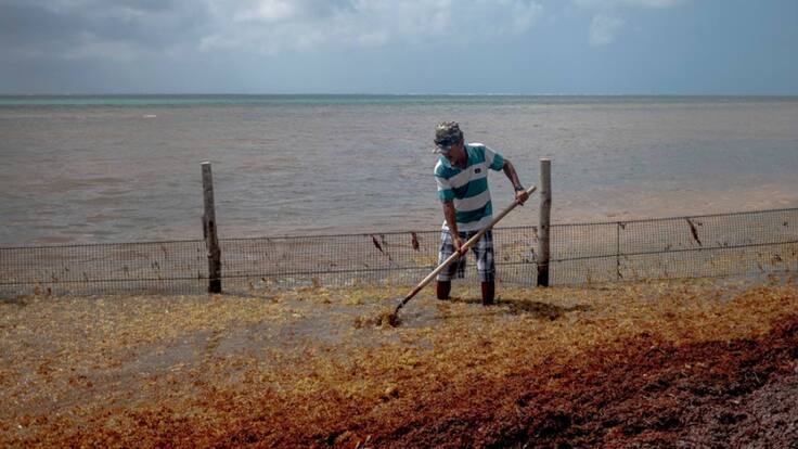 El pueblo que vive de la cocaína que se cae en el mar