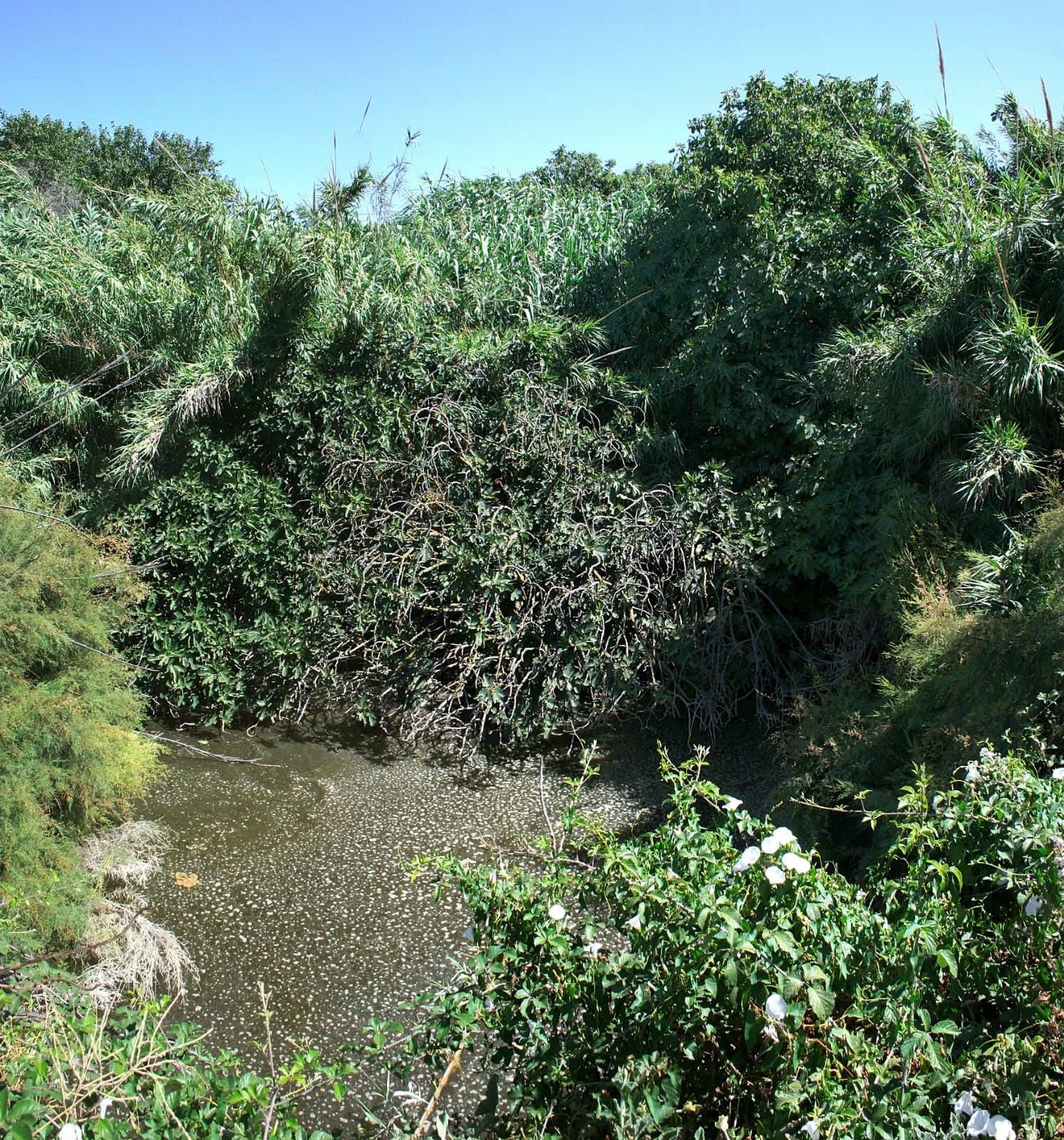 Recorrido por el camino de la Fuente de Pedro Díaz en Jerez