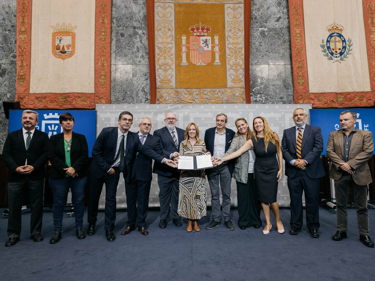 Tenerife Renace: la iniciativa para revivir los bosques de la isla tras uno de los peores incendios de su historia