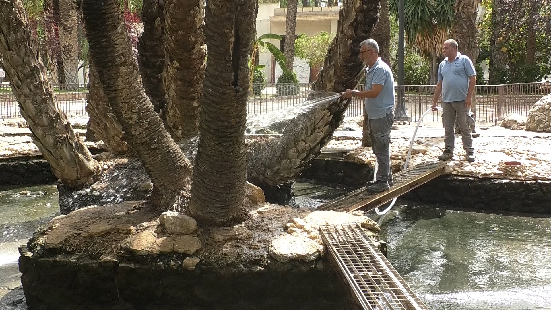 Cambio del agua del estanque de los patos