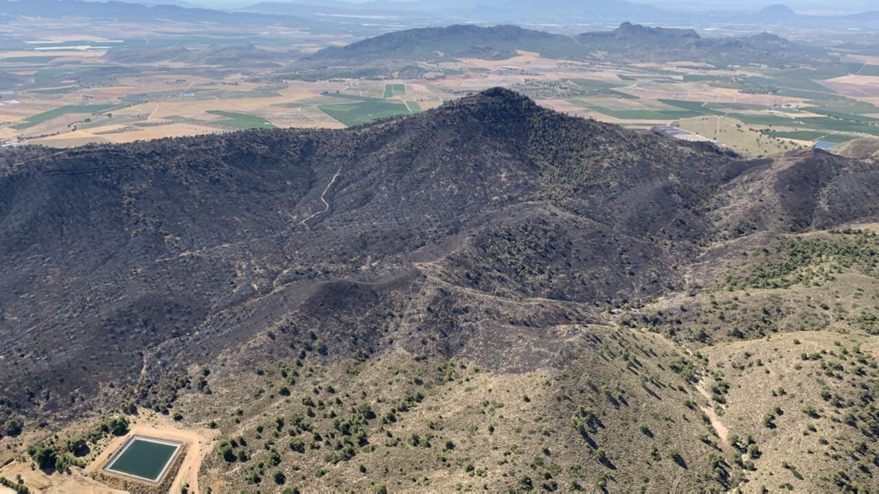 Superficie afectada por el incendio en el paraje de La Patoja (Jumilla)