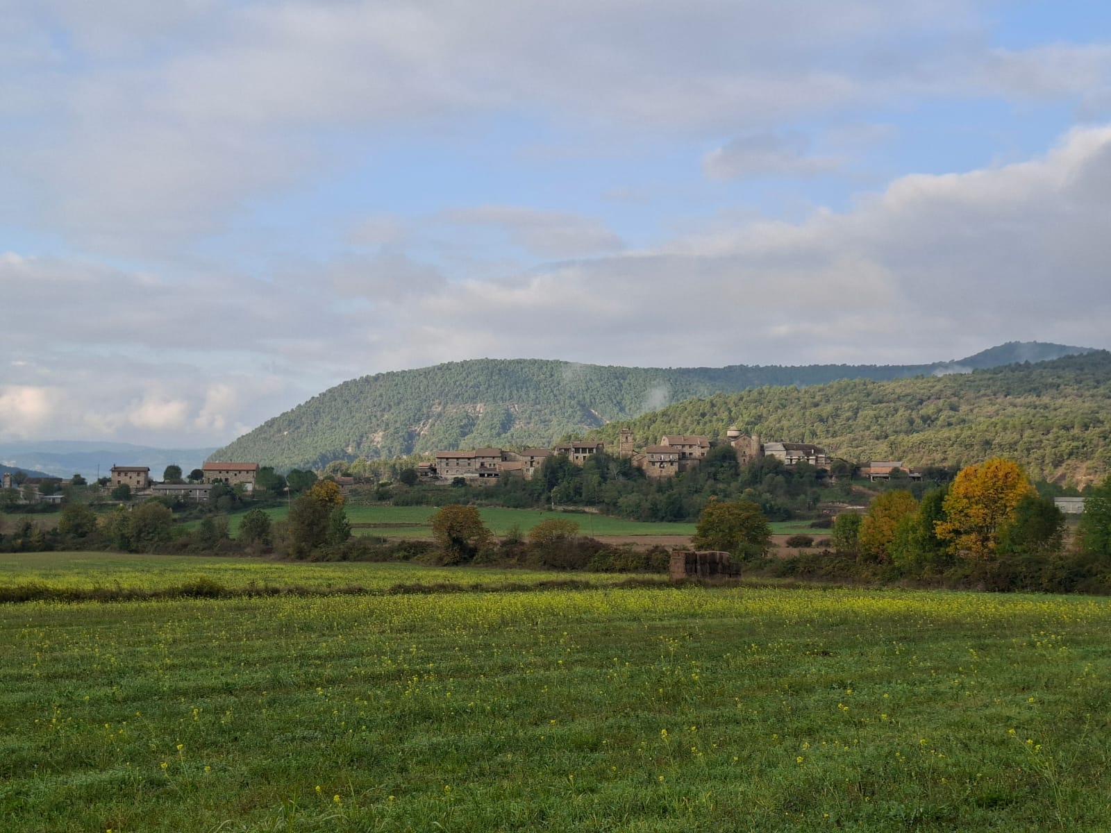 Panorámica de Arro.