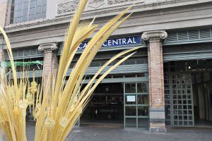 Palmas ante el Mercado Central