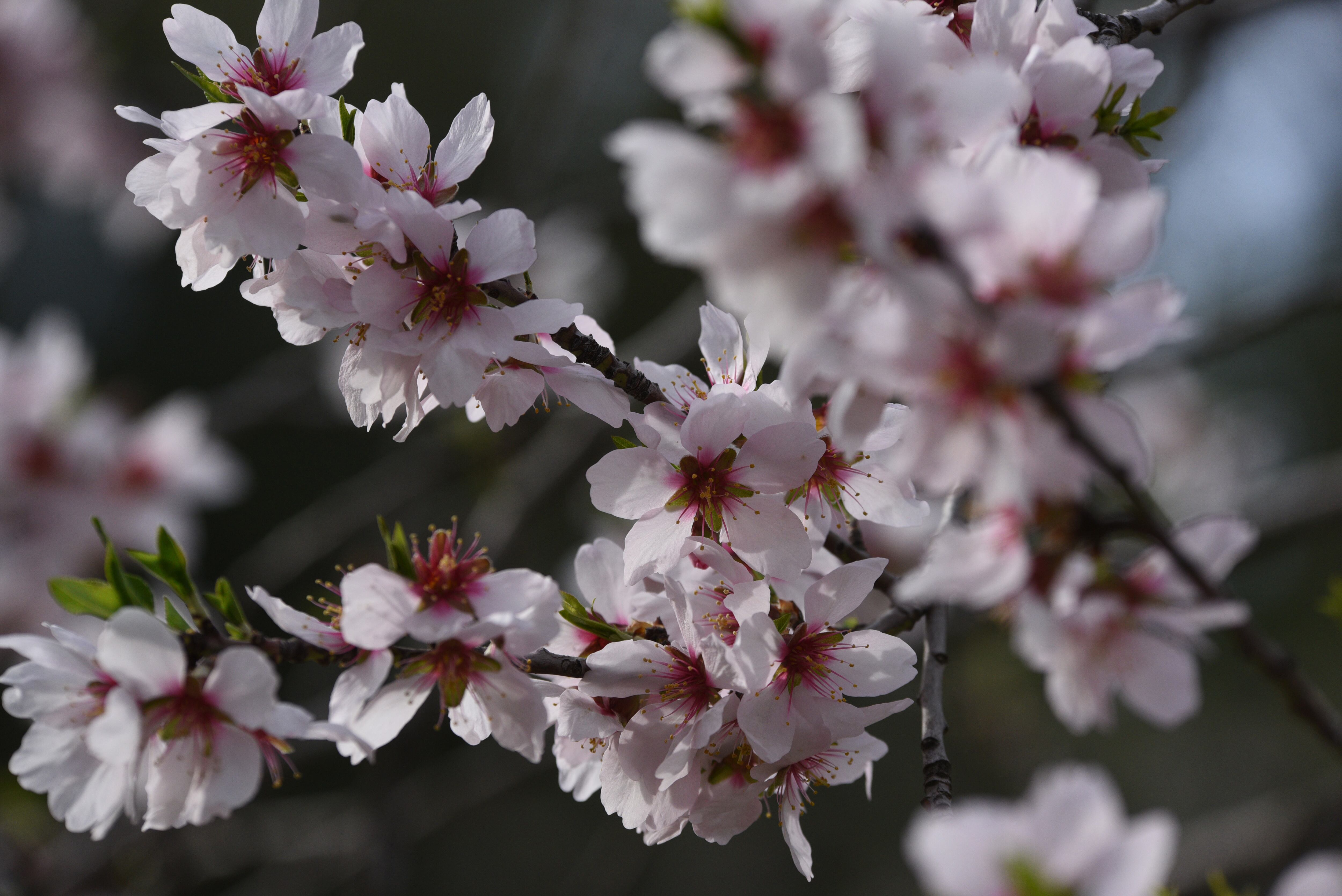 Photo by Jorge Sanz. SOPA Images/LightRocket via Getty Images)