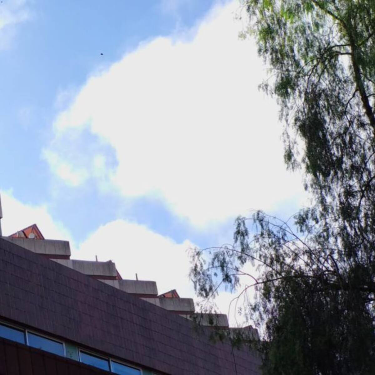 Primer caso de coronavirus en Cabra