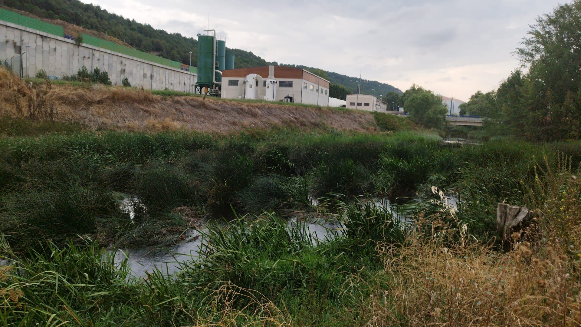Zona del río Arlanzón próxima a la Estación Depuradora de Aguas Residuales. / Foto: Asoc. Vecinos de Villalonquéjar