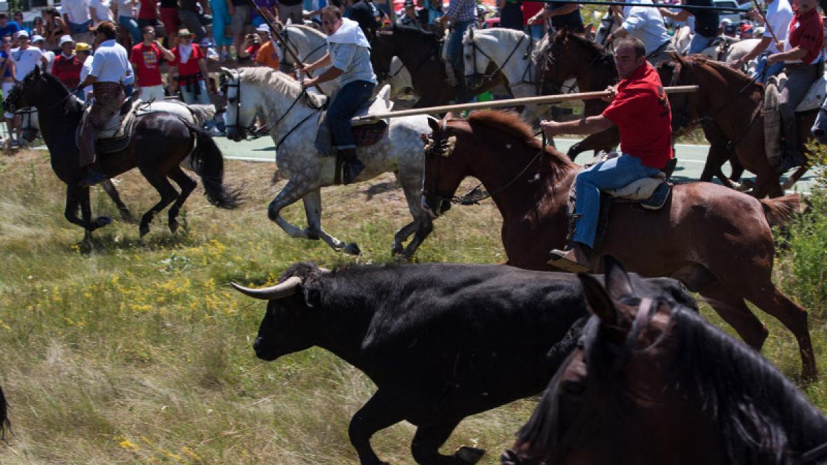 Jueves La Saca en Valonsadero