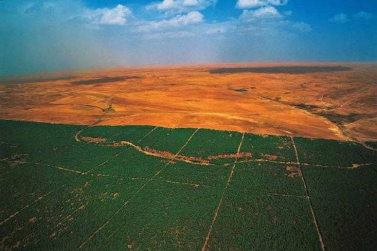 Catorce países africanos están plantanado millones de árboles para crear una enorme barrera verde alrededor del desierto del Sahara y poder frenar el impacto del cambio climático.