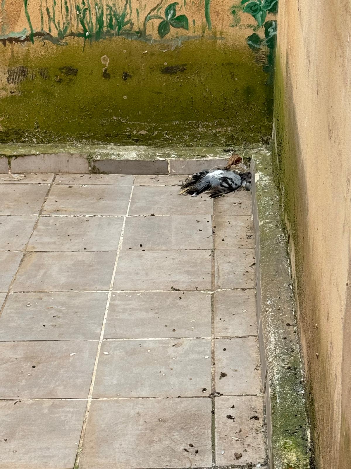 CSIF alerta de la "insalubridad" del centro penitenciario de Logroño