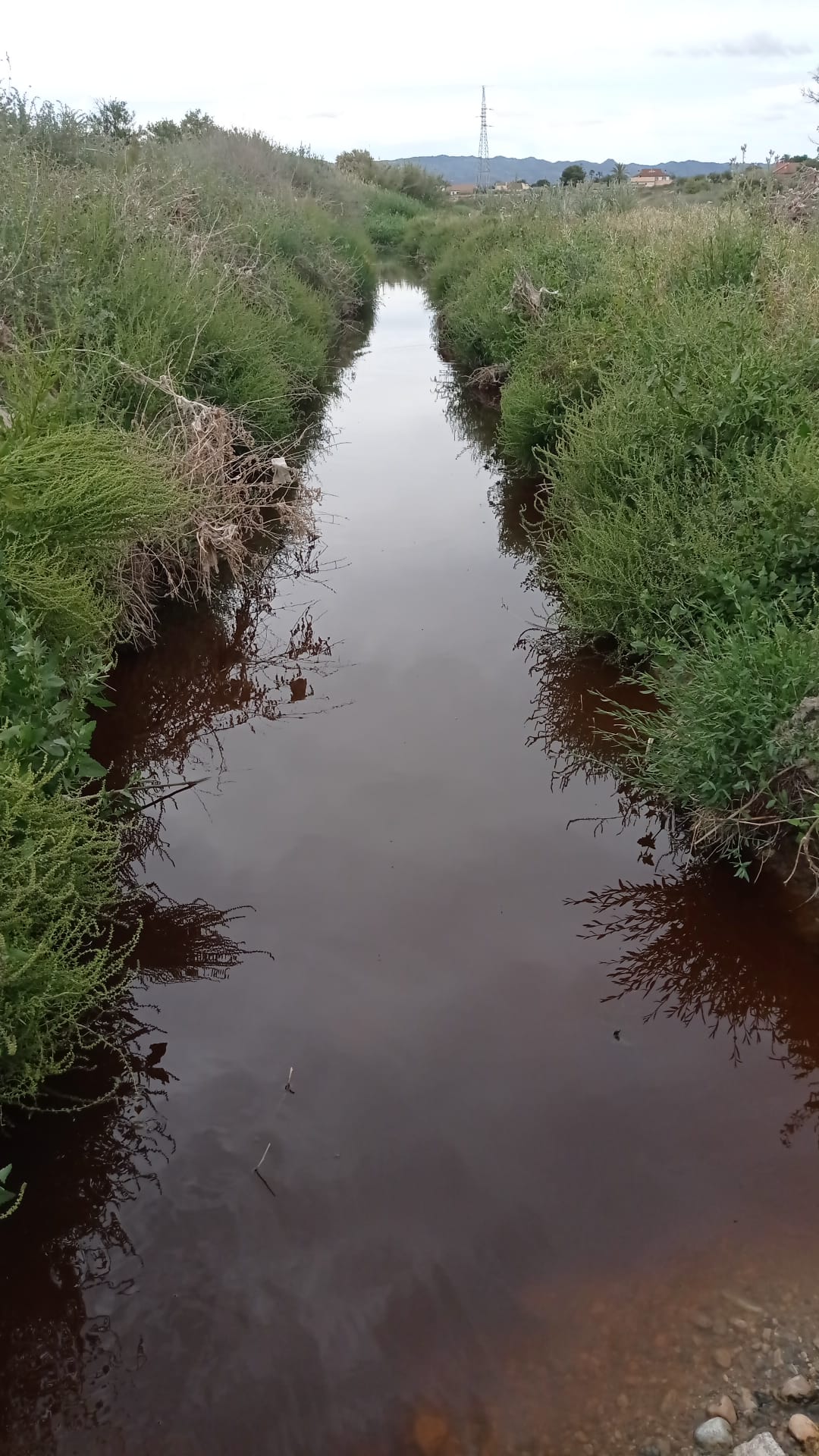 Cauce del río en Marchena con restos de las aguas residuales procedentes del curtido