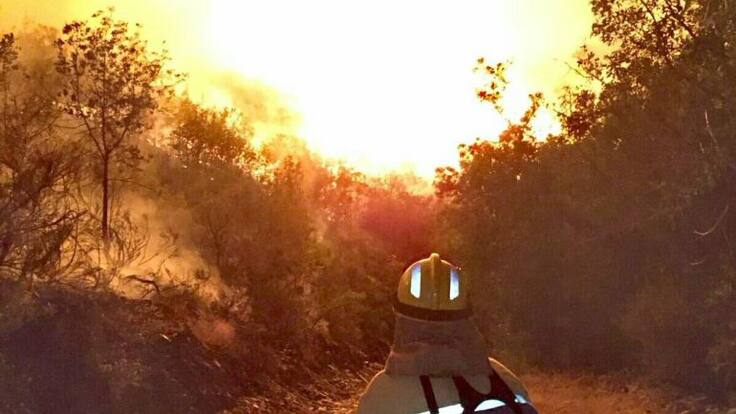 'No queremos medallas, solo que rezonozcan nuestro trabajo'