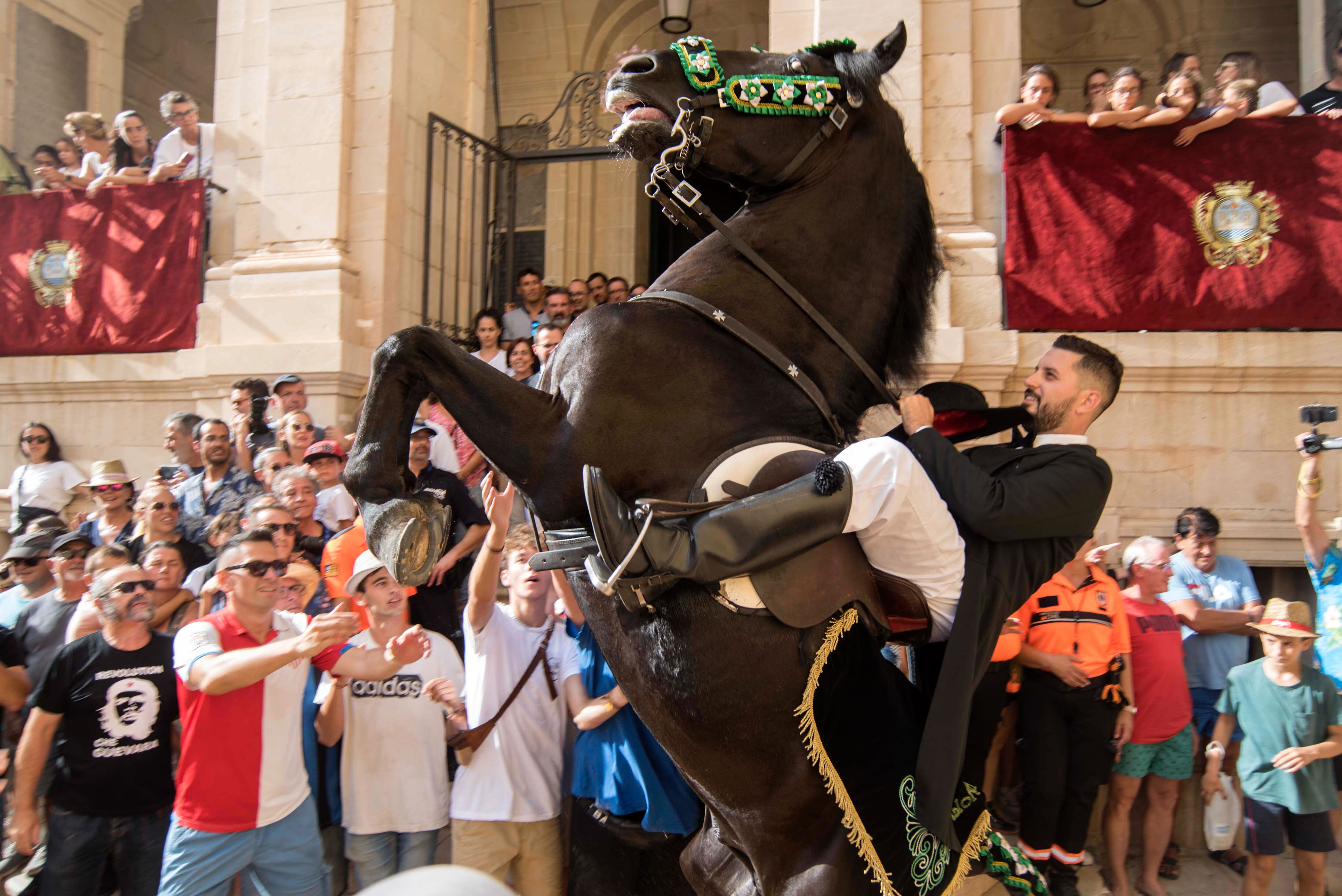 Els cavalls van tornar botar als carrers de la ciutat.