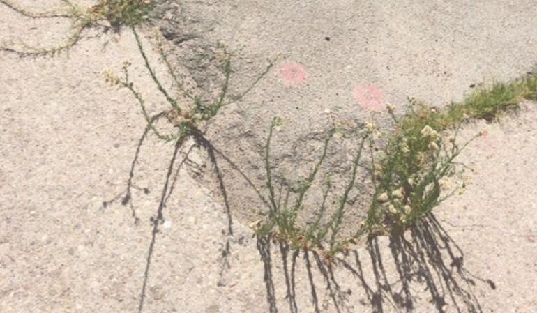Imágen de una parte del suelo del patio del colegio Víctor Pardera.