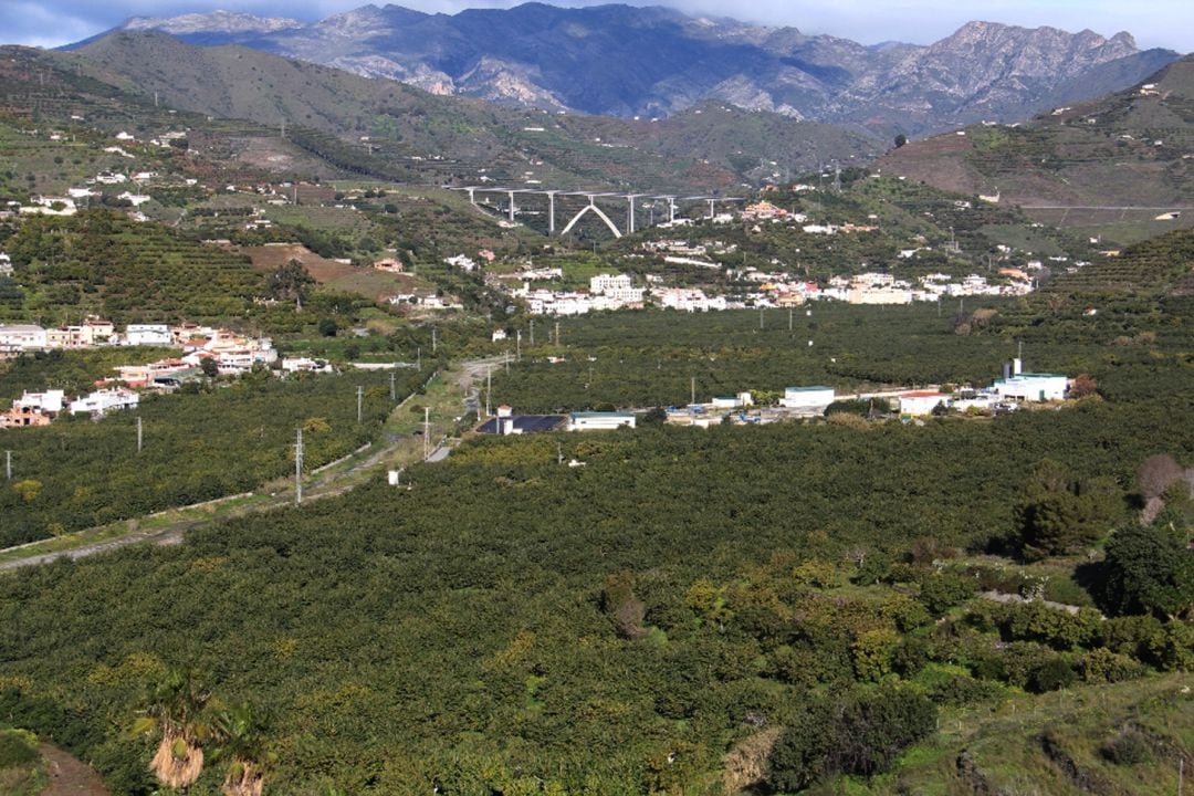 Cultivo de subtropicales en el valle del río Verde, en Almuñécar (Granada)