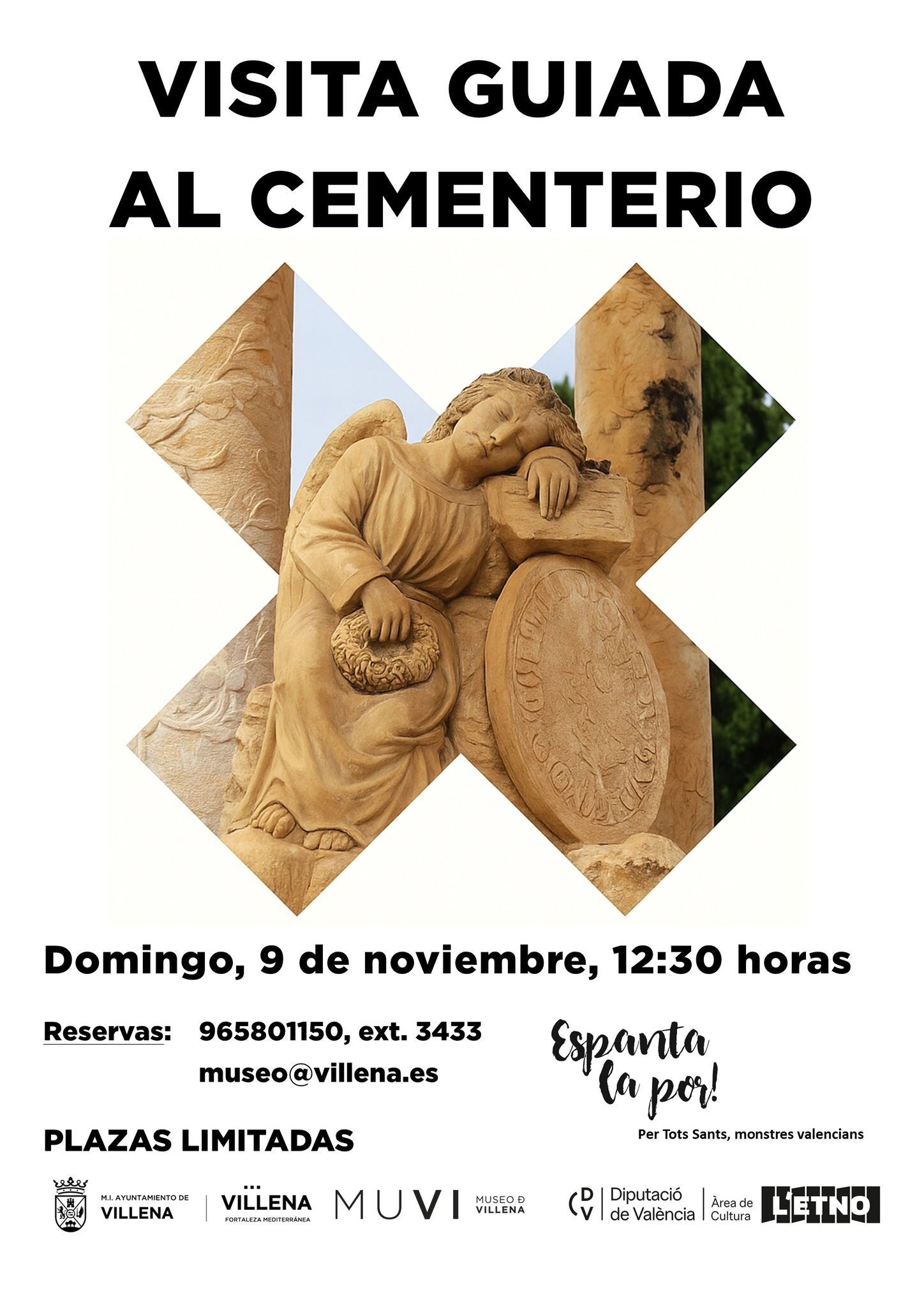 Cartel de la actividad