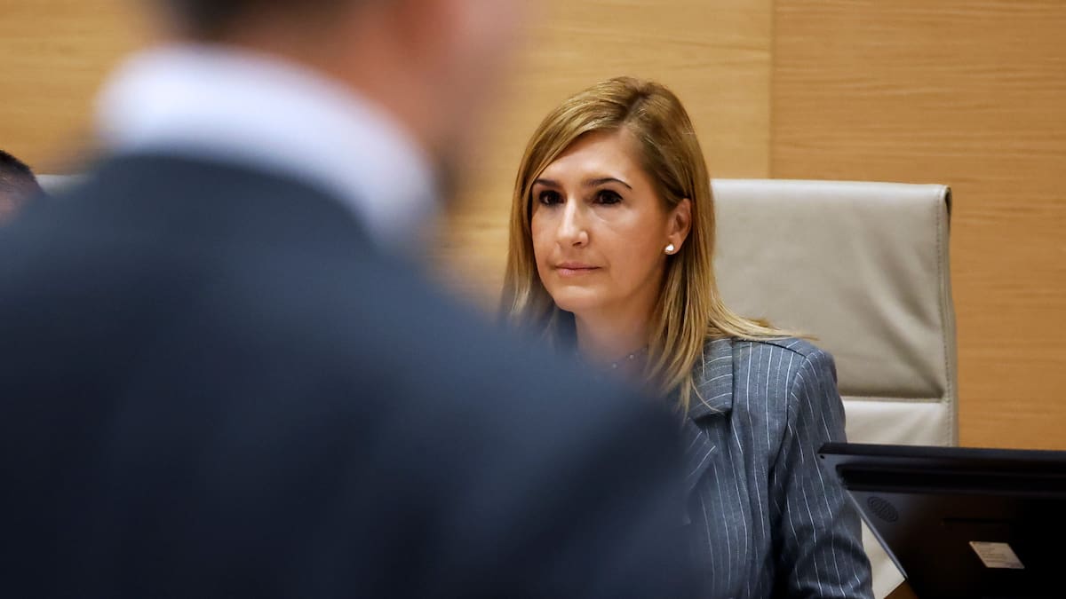 Tensión entre Pradas y Rufián en la comisión sobre la DANA del Congreso de los Diputados