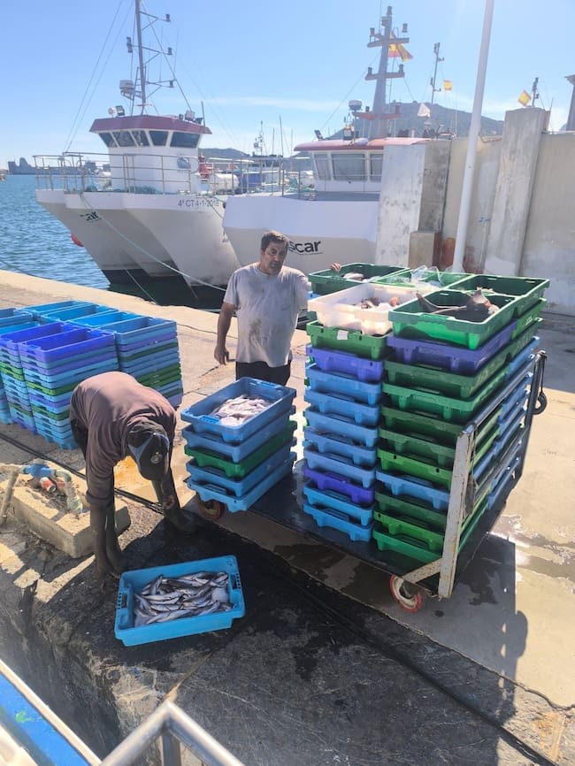 Los últimos pescadores de arrastre de Cartagena denuncian que se sienten "furtivos siendo trabajadores del mar"