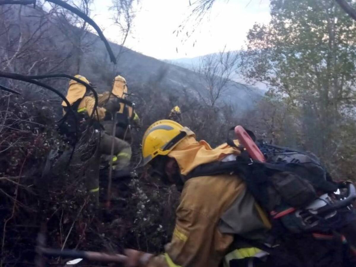 El incendio de San Adrián arrasó cerca de 40 hectáreas