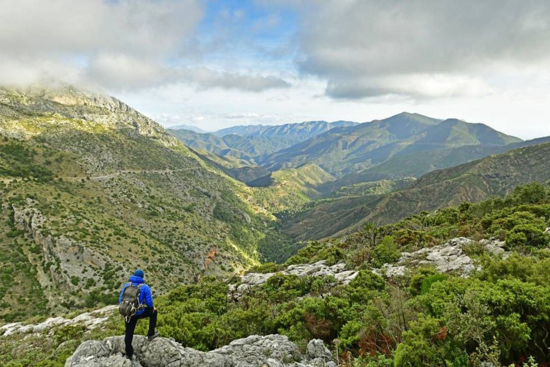 Paisaje del Parque Nacional de la Sierra de las Nieves