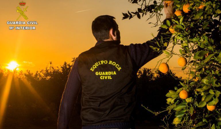 Faltan agentes para trabajar en los equipos Roca según la AUGC