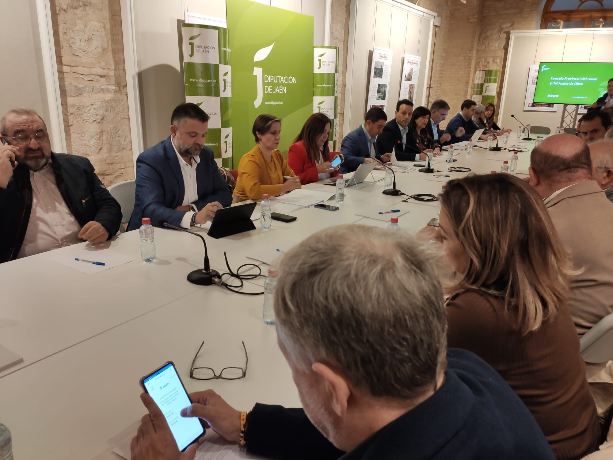 Reunión del Consejo Provincial del Olivar y del Aceite de Oliva en la Diputación de Jaén