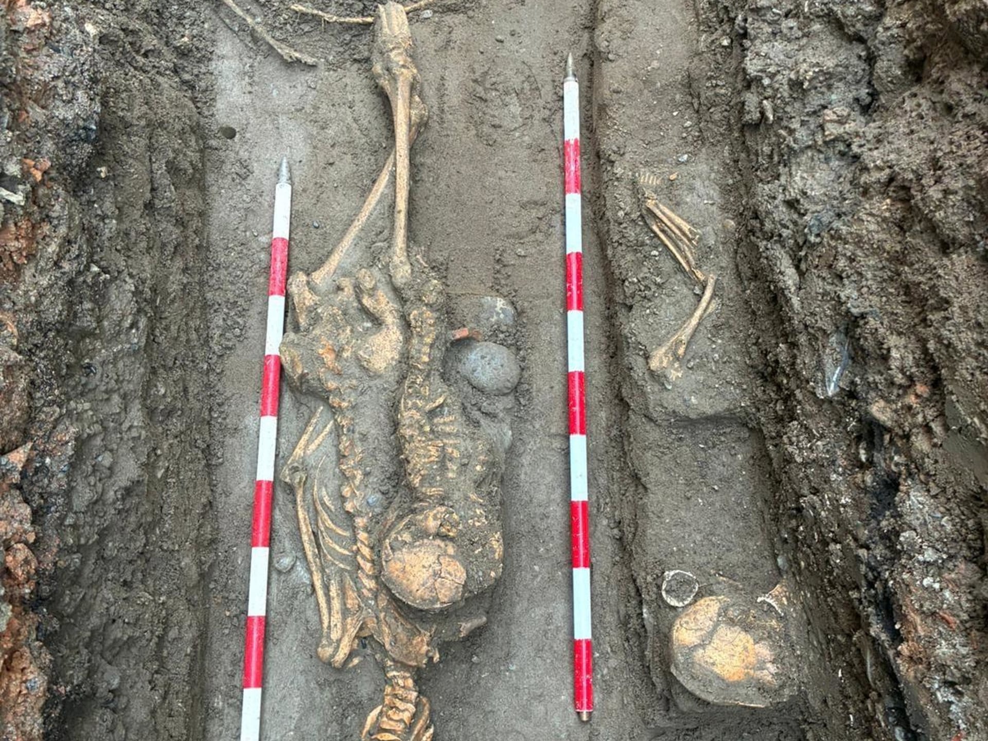 Estepona halla 12 nuevas tumbas en una necrópolis musulmana que existió durante los siglos XIII y XV