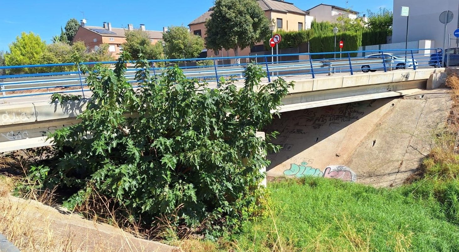 El ayuntamiento comienza la limpieza del barranco del Palmaret