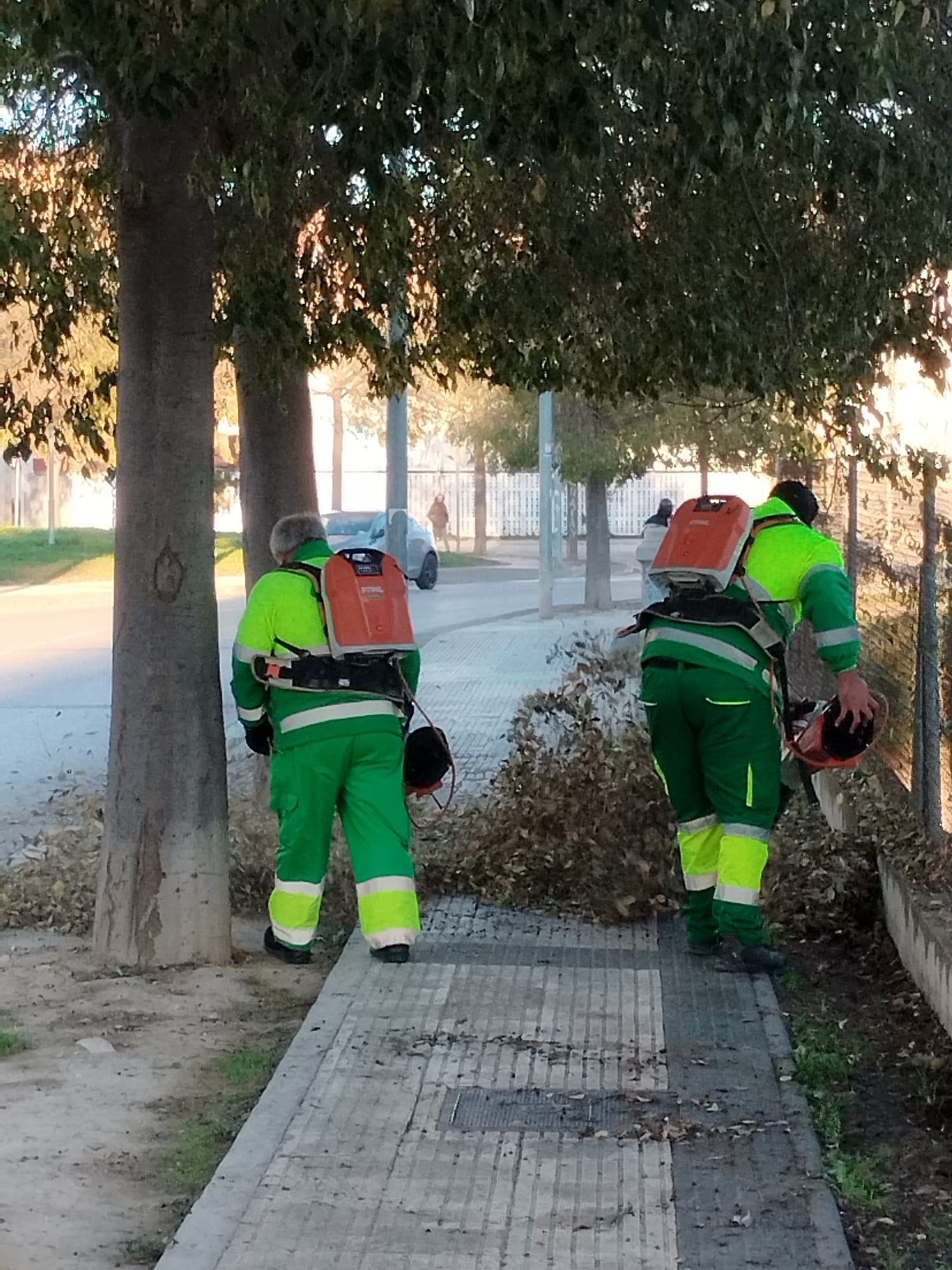 Dispositivo especial de recogida de hojas en Huesca