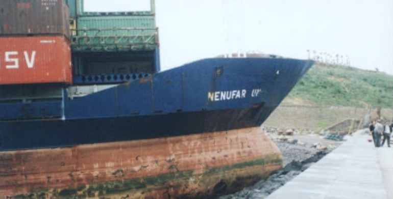 Imagen del Nenúfar Uno en la playa del Parque Marítimo. Detrás, el Palmétum