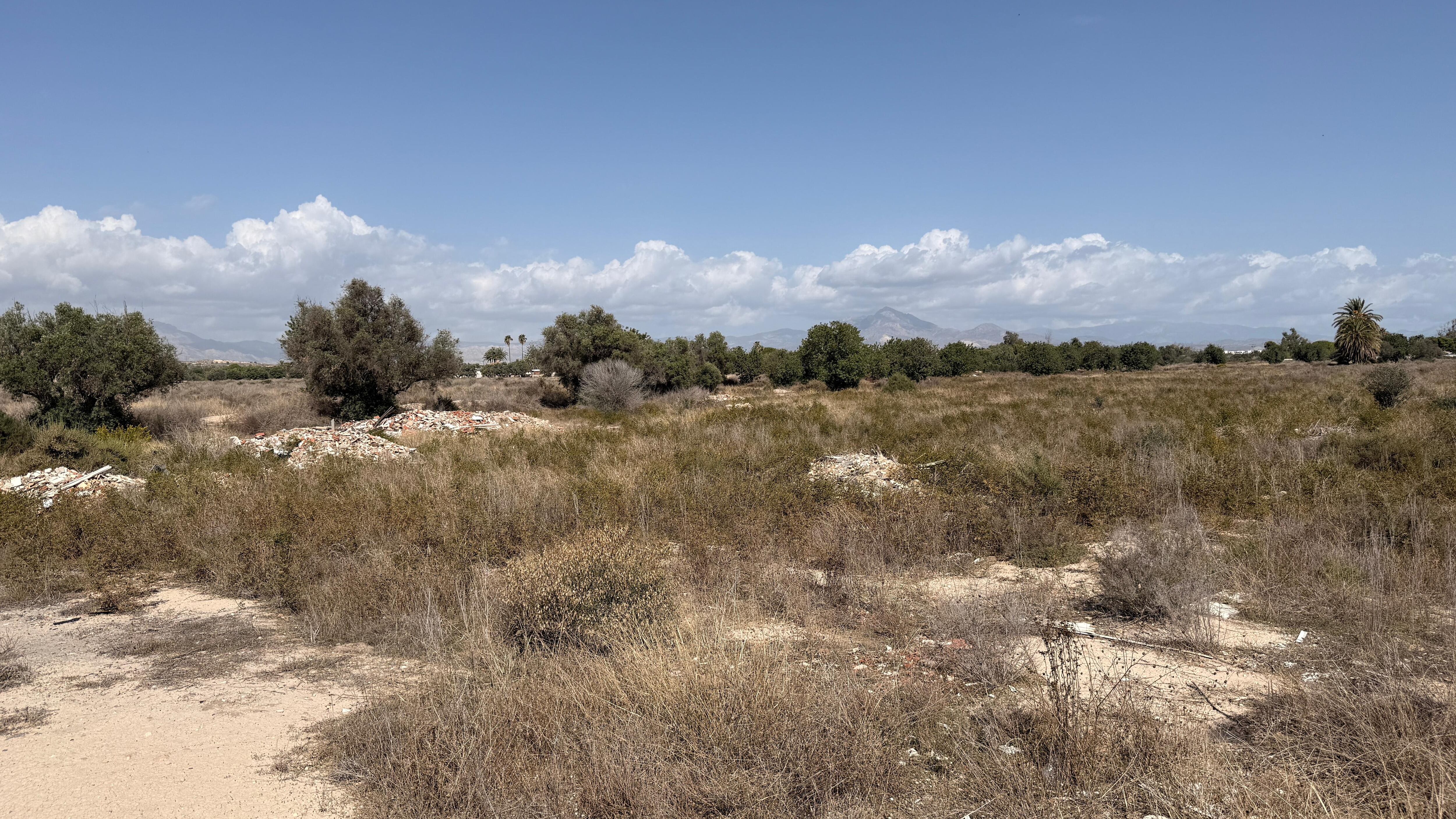 Imagen de los terrenos de Veterherc SL en la zona de la Albufera